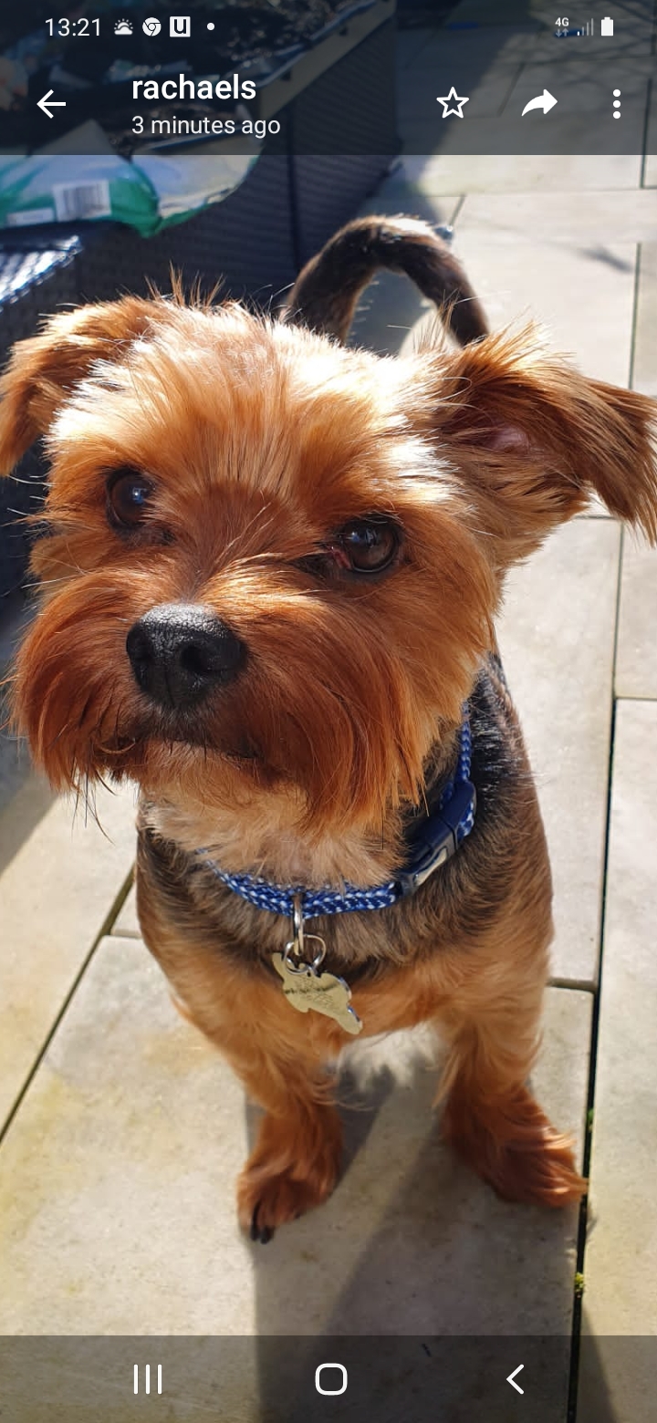 Clair - Receptionist