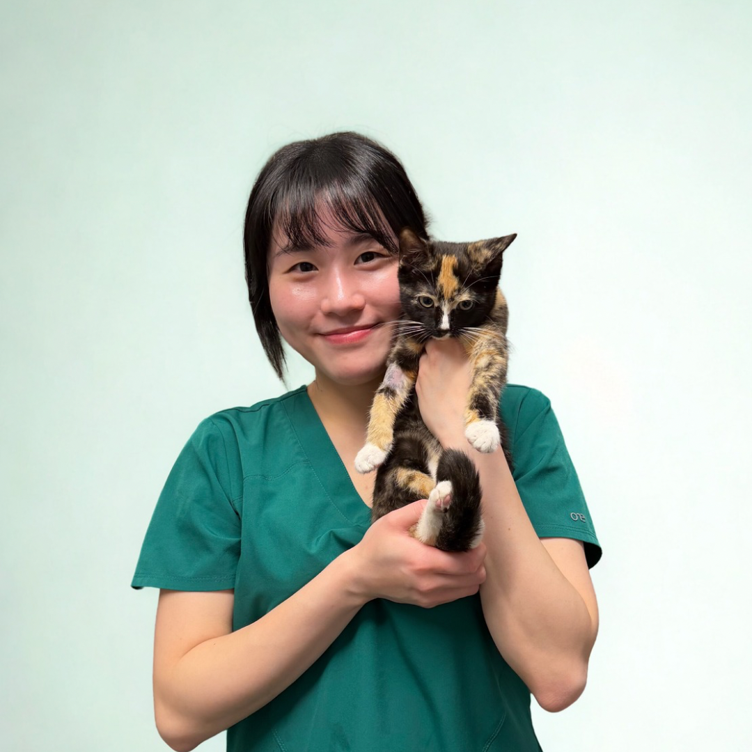 Meredith Mung - Placement Student Nurse