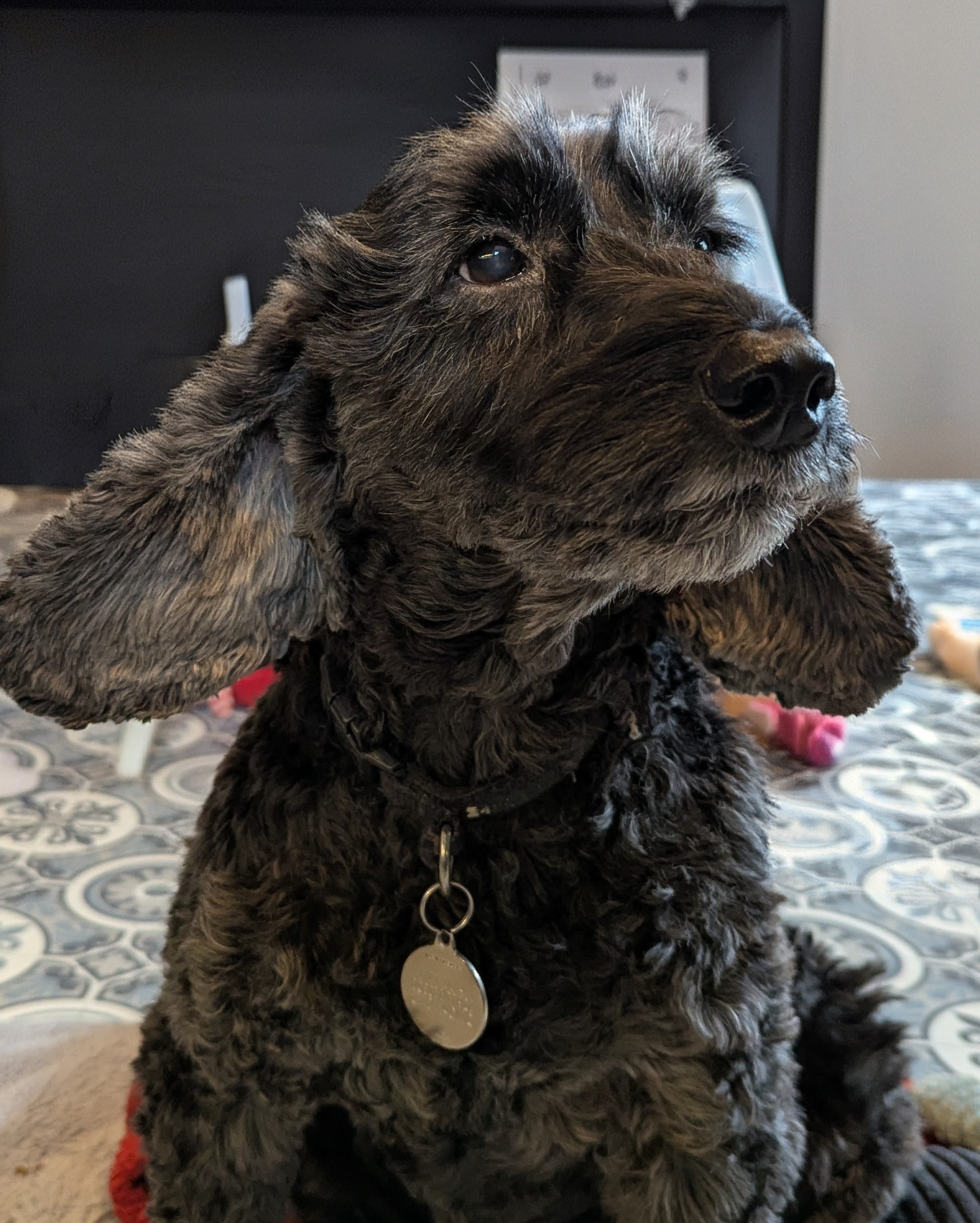 Joanne - Client Care Team