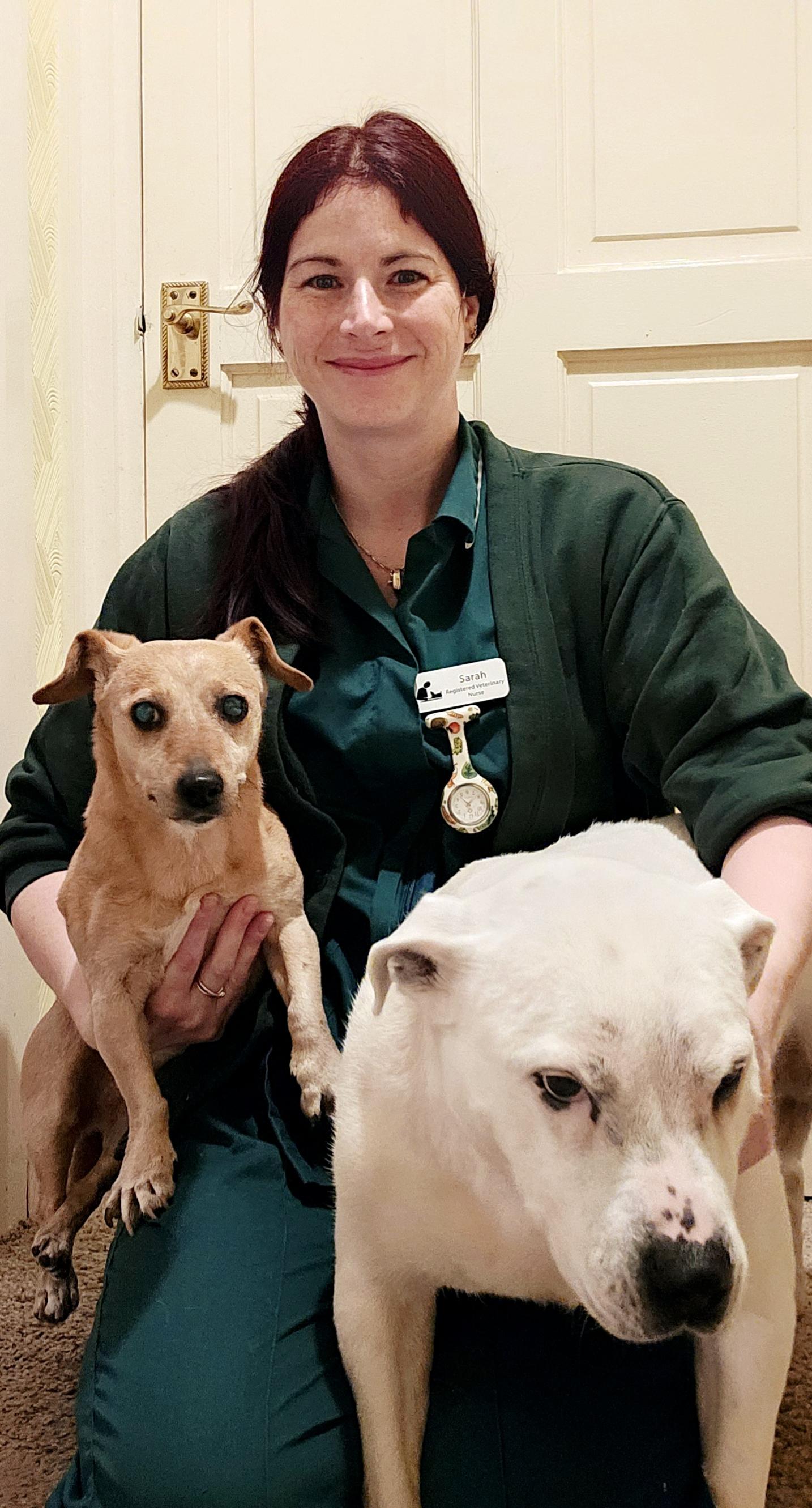 Sarah Harris - Veterinary Nurse