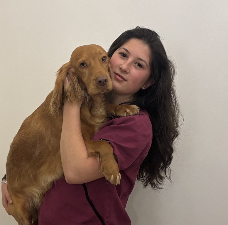 Tiggy - Veterinary Care Assistant