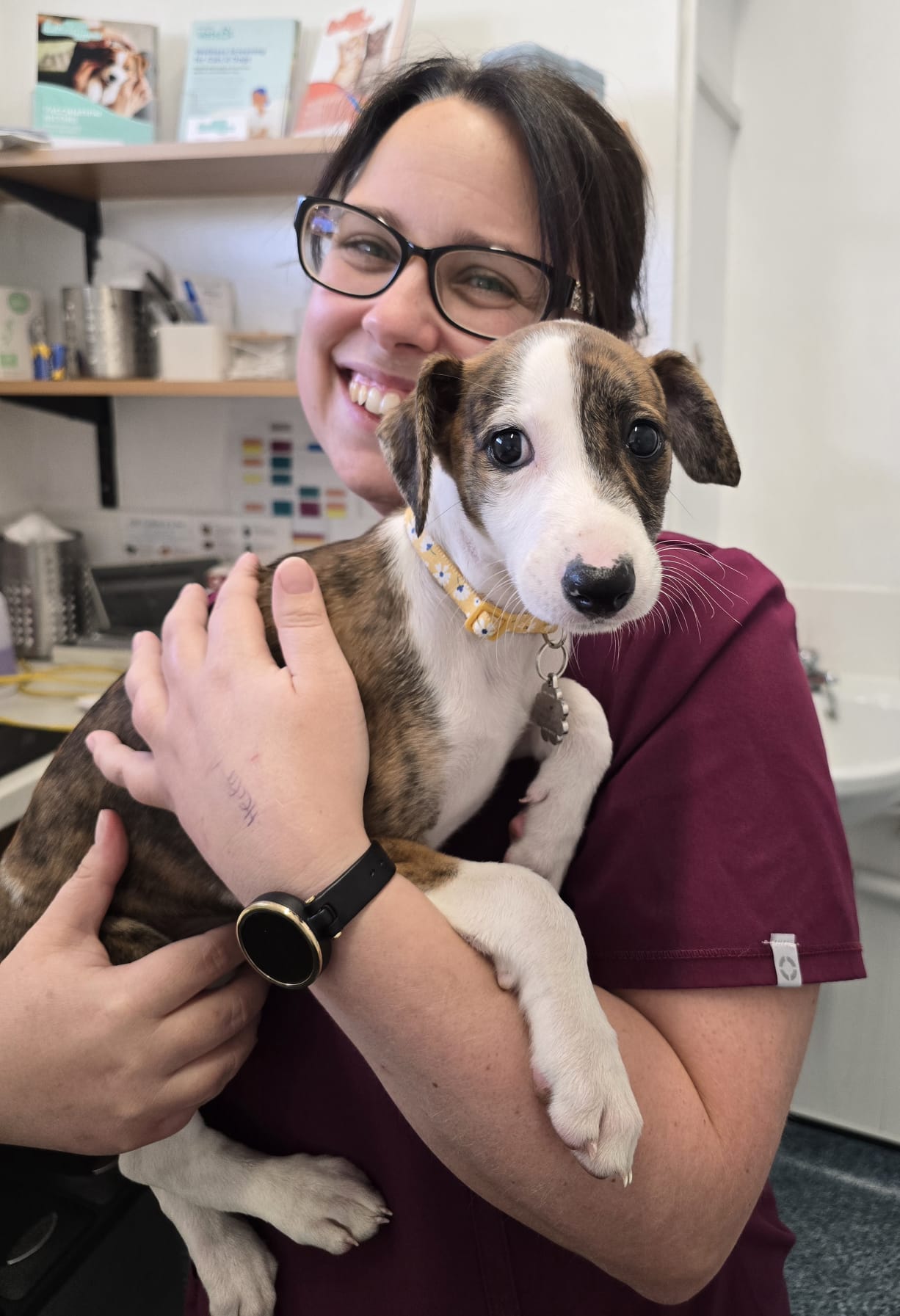 Alexandra Weekes - Veterinary Surgeon