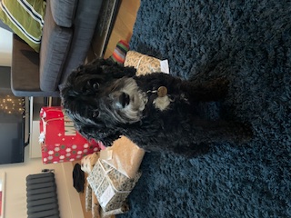 Chloe Gott - Receptionist