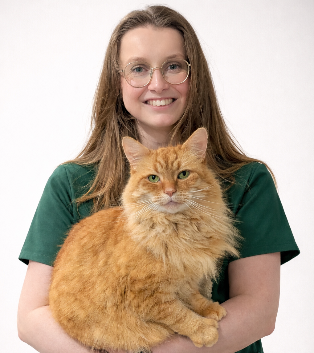 Nicole - Deputy Head Registered Veterinary Nurse