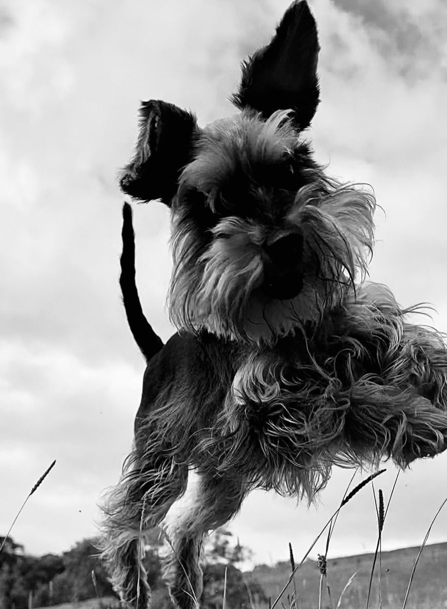 Anna - Client Care Team