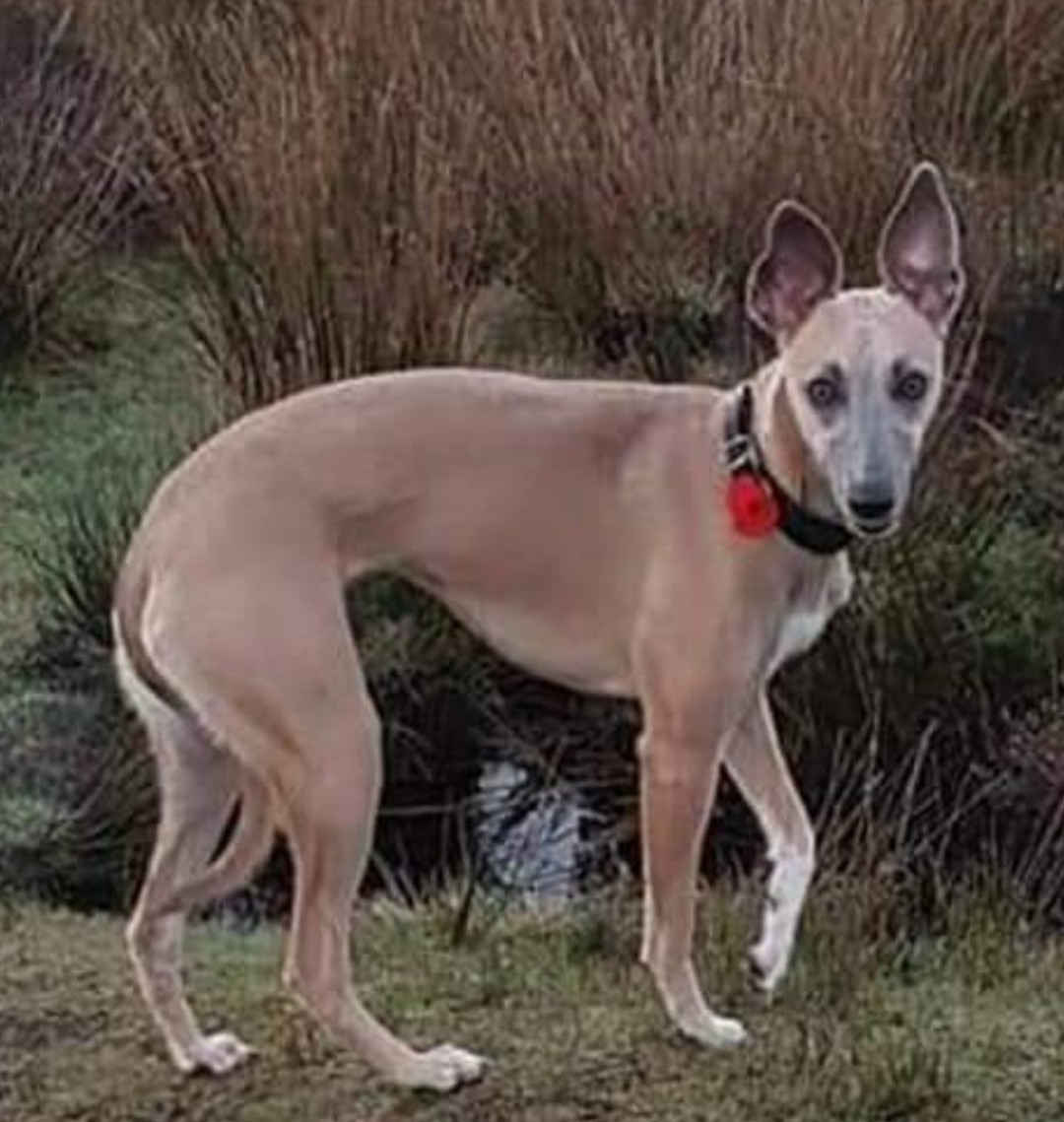 Natalie - Receptionist