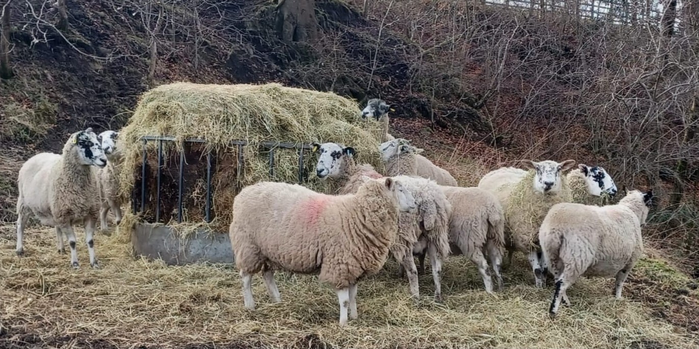 Catherine Cutler - Receptionist