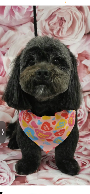 Emily - Receptionist