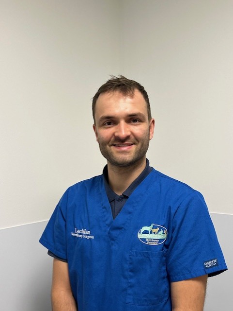 Lachlan Shaw - Veterinary Surgeon