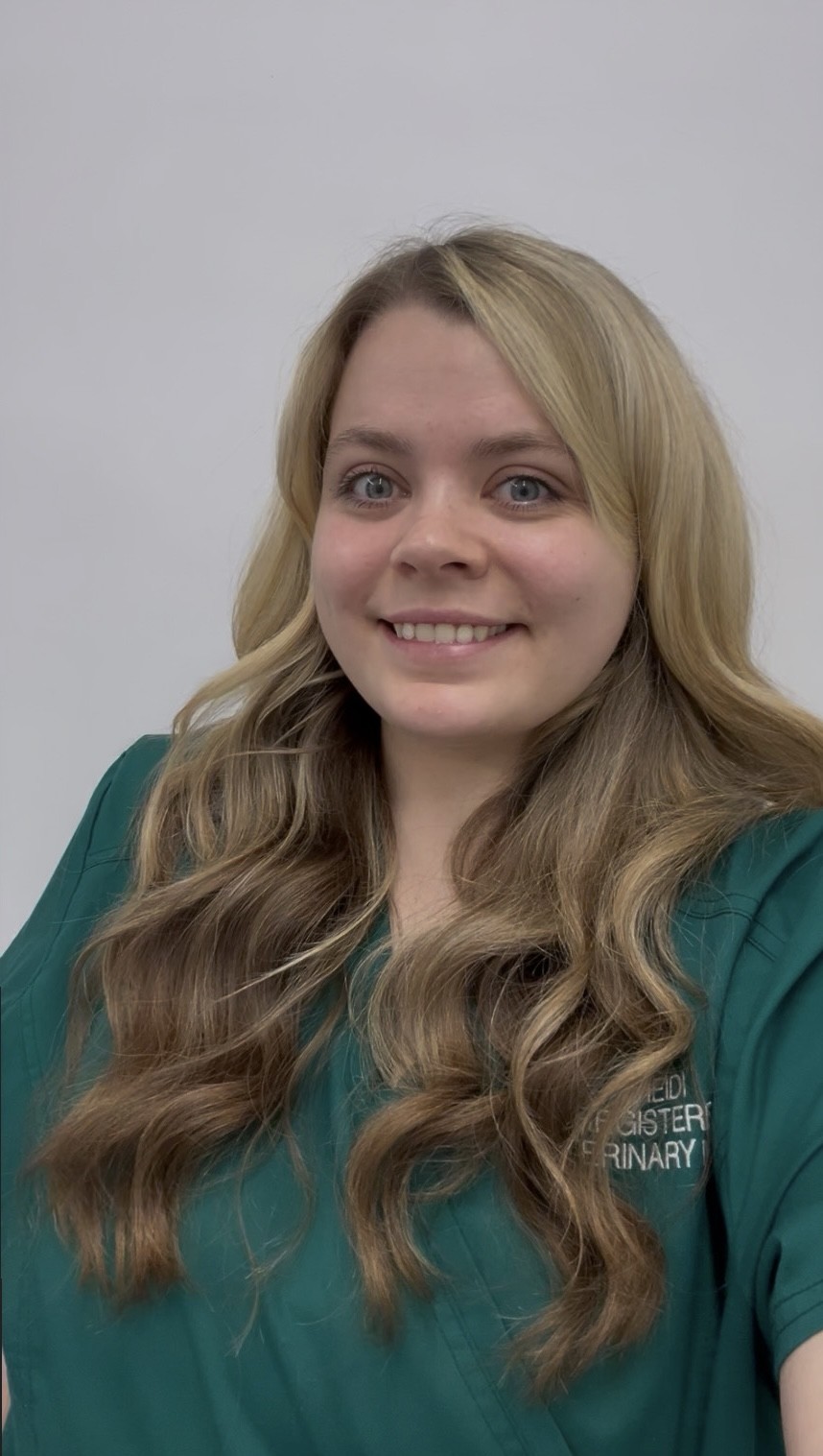 Heidi Davies Rvn - Registered Veterinary Nurse