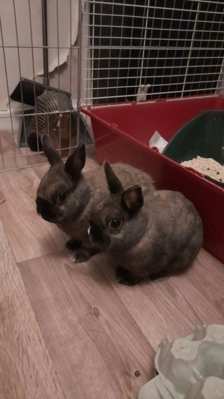 Laura - Receptionist