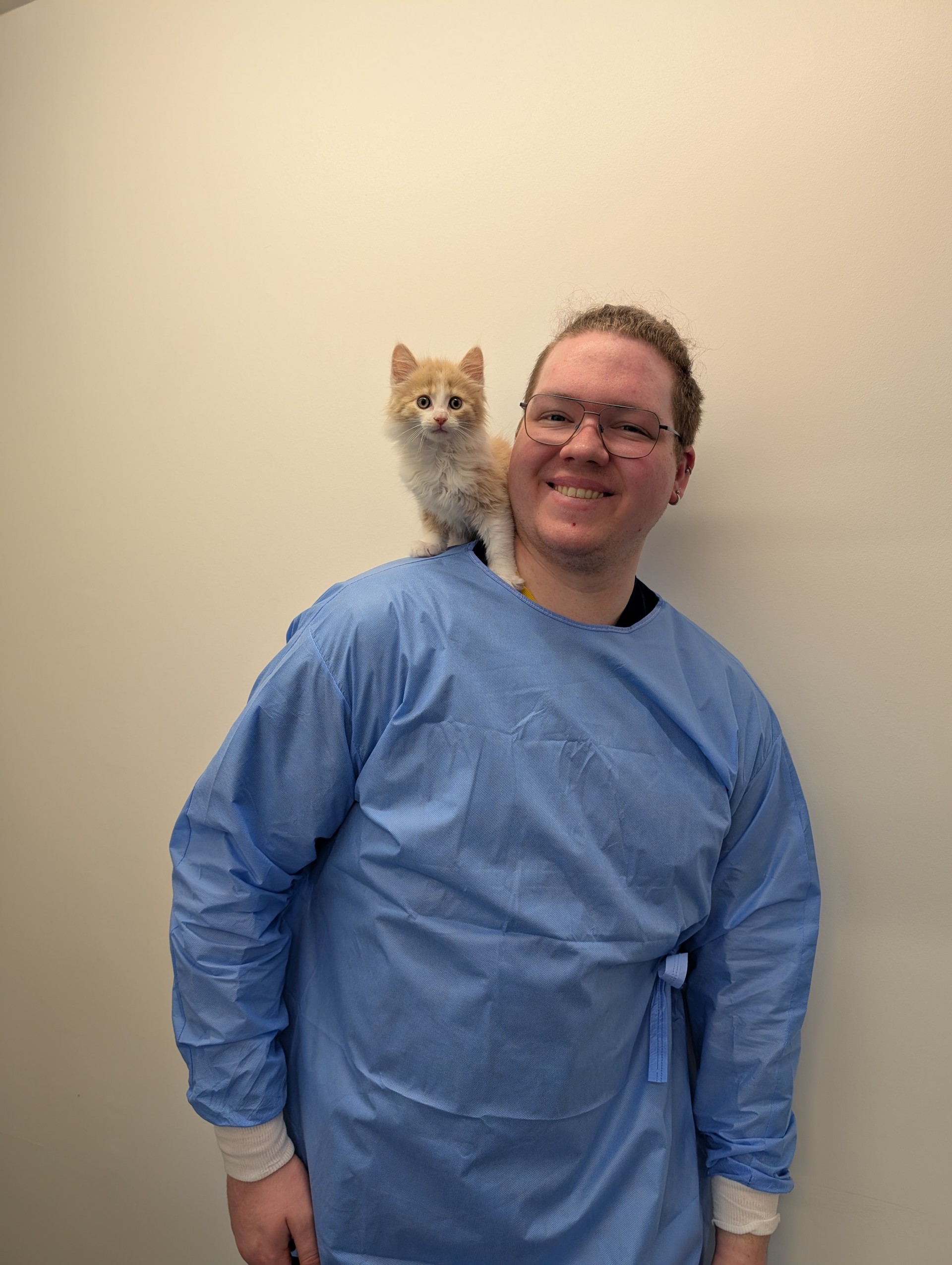 Alasdair - Veterinary Surgeon