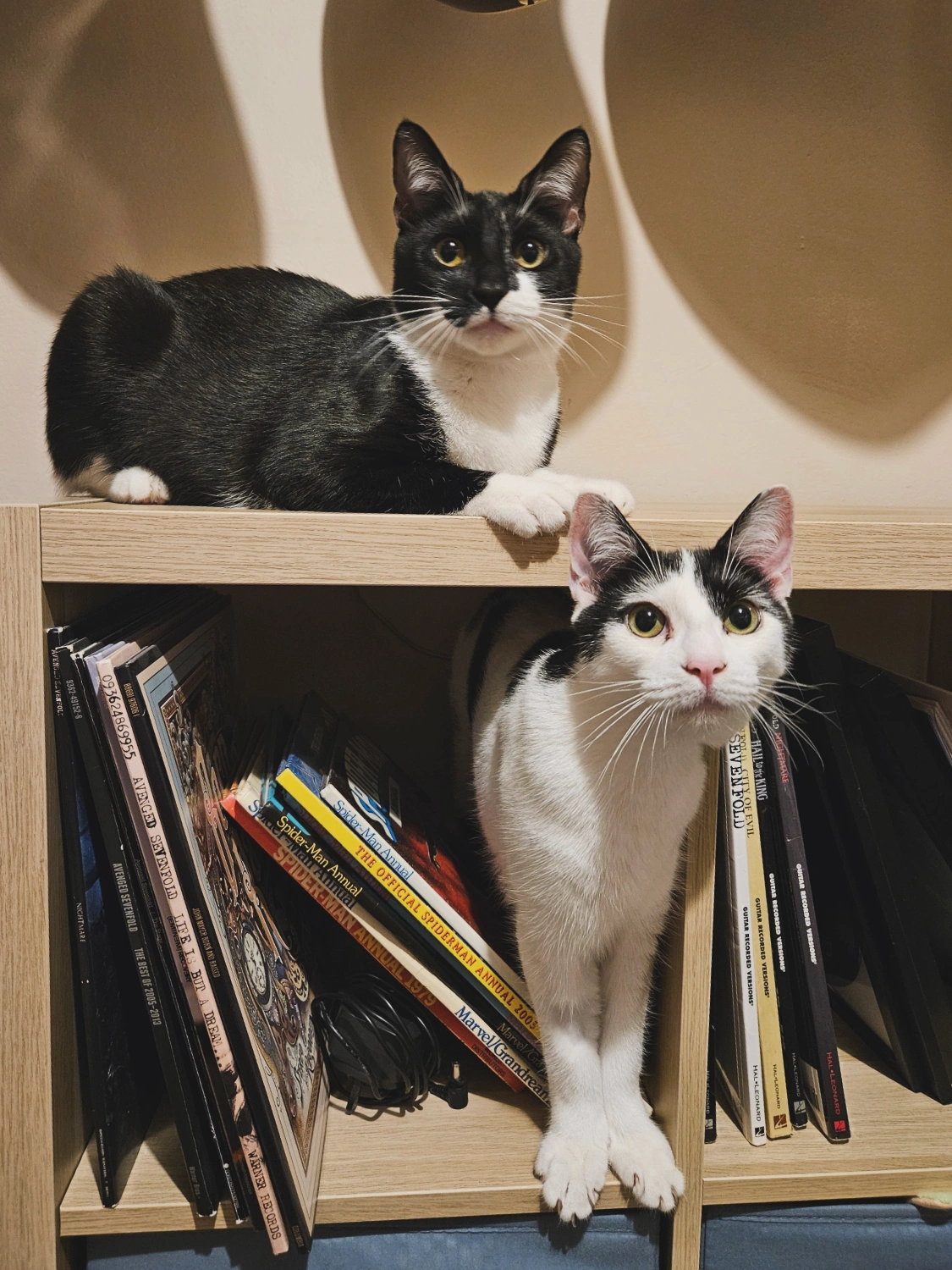 Hannah - Receptionist