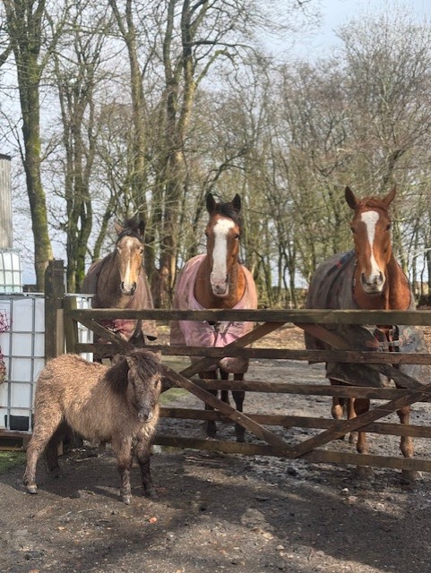 Holly - Receptionist