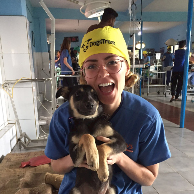 Amelia Swan - Veterinary Surgeon