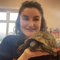 Katie Francis - Registered Veterinary Nurse