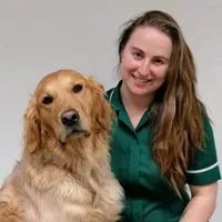 Sarah Walker - Head Veterinary Nurse