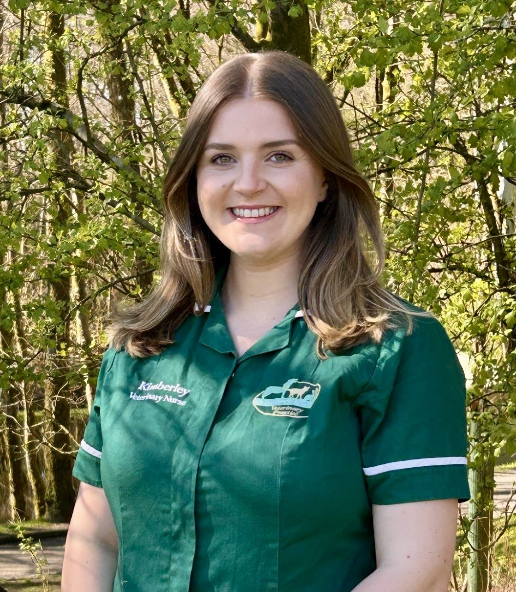 Kimberley Tippen - Registered Veterinary Nurse